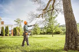 Reliable Caldwell, NJ Tree Services Solutions